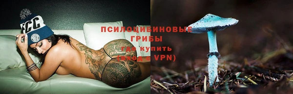 ALPHA PVP Медвежьегорск