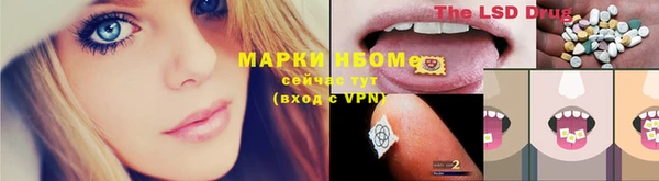 PSILOCYBIN Дмитров