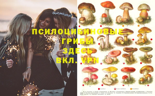 не бодяженный Мегион