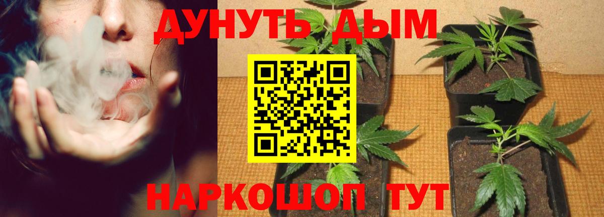 Канабис гибрид  Бошки Шишки планчик  МАРИХУАНА MAZAR  Вход с VPN  Дальнереченск 